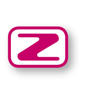 STEPZ Icon Logo